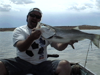 Striped Bass Catch